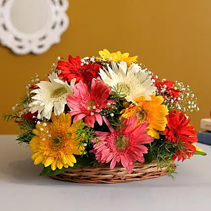 Mixed Gerberas In Cane Basket