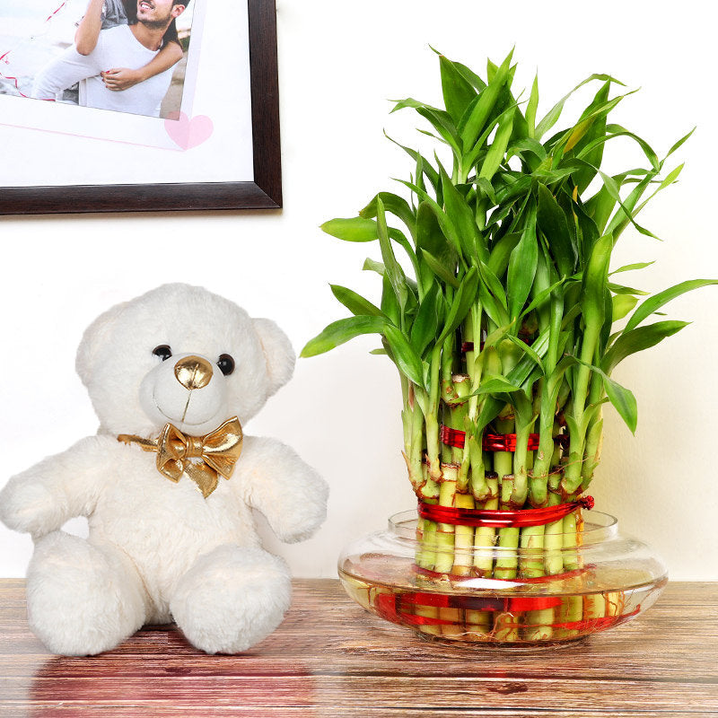 Three Layer Bamboo Cuddly Combo