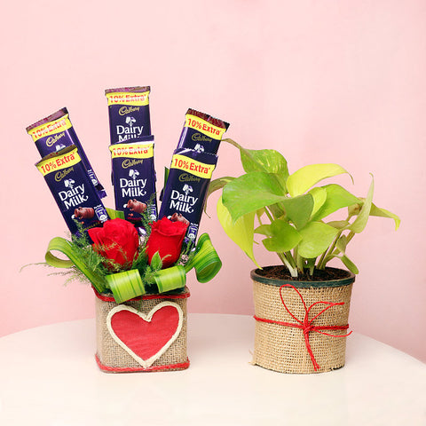 Silver Dollar Luscious Combo