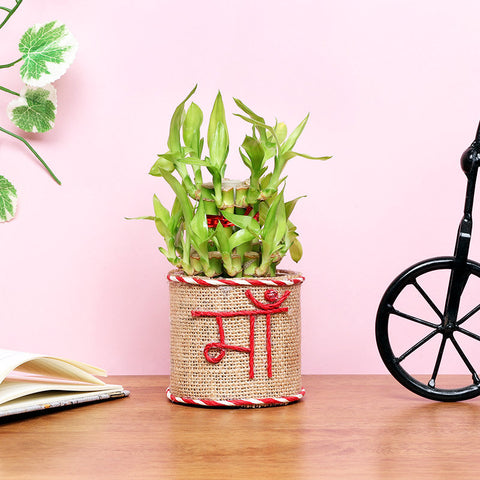 2 Layer Prosperous Bamboo