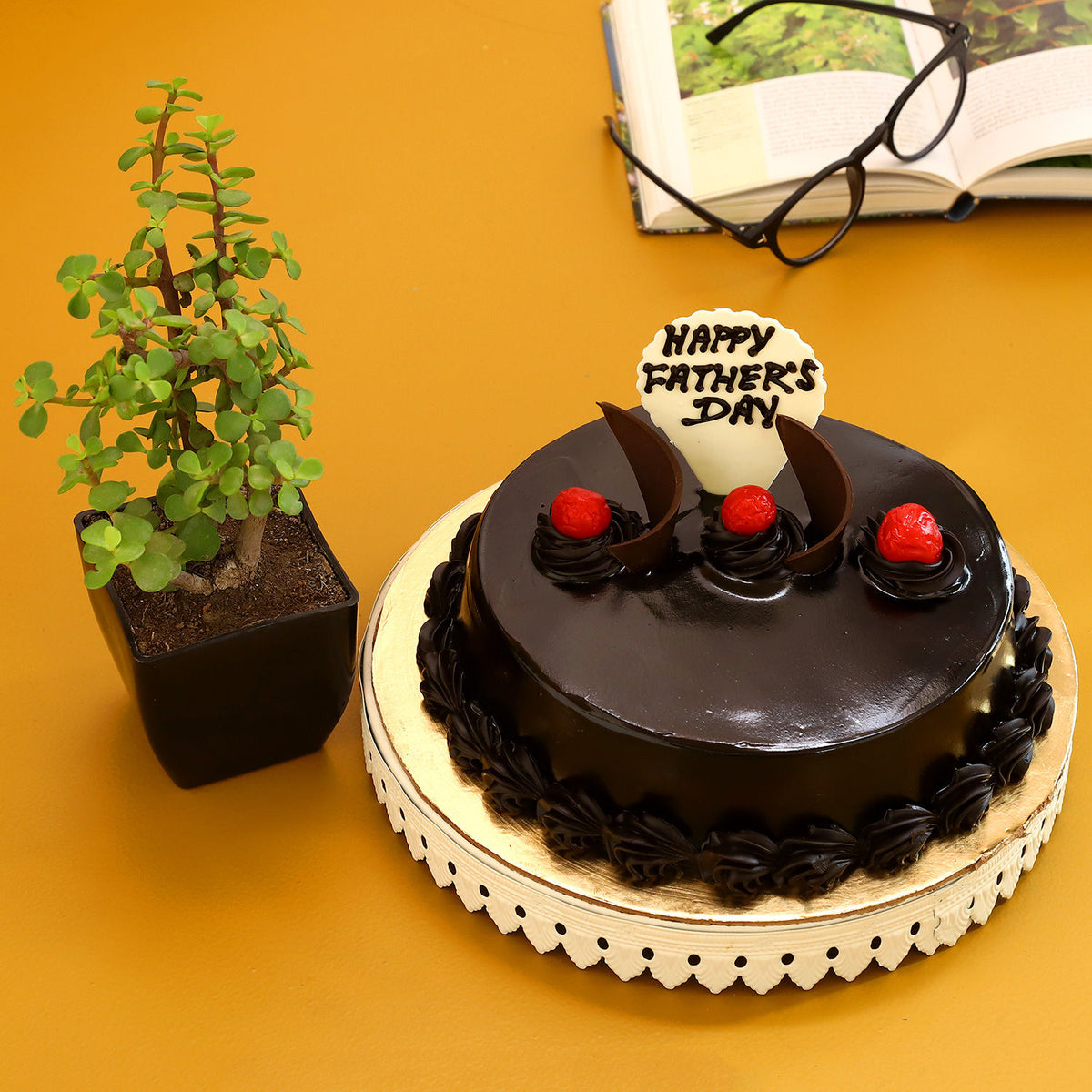 Lovely Jade Plant Chocolate Truffle Cake