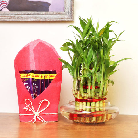 3 Layer Bamboo Gratification