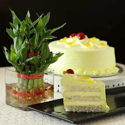 Butterscotch Cake N Bamboo Plant