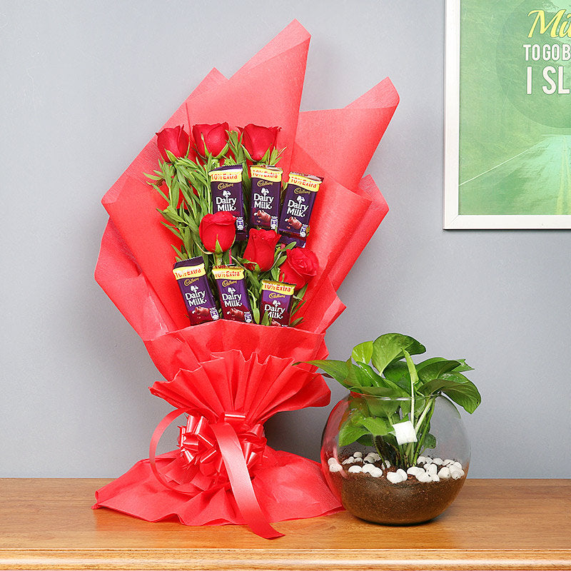 Red Money Plant Combo