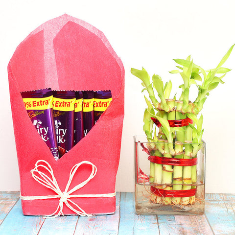 2 Layer Bamboo Bonanza